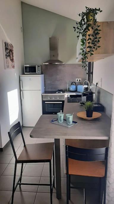 Toulouse Charmant T3 Ponts Jumeaux Avec Terrasse Apartment Ngoại thất bức ảnh